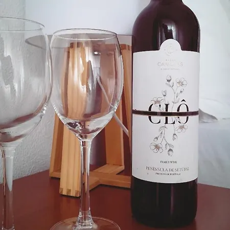 Mi Casa Su Casa ホームステイ モンチジョ